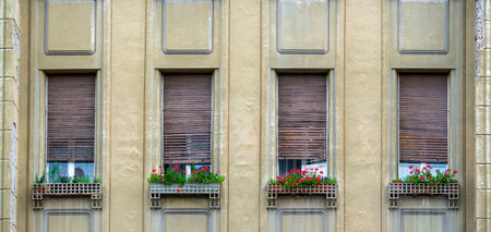 Detail of two windows with old wooden or metal shutters with flower ornamental decoration.の写真素材