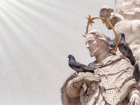 Pigeon sitting on a statue of a saint in Liberty Square, Timisoaraの写真素材