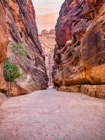 Picture with al-Siq, the natural passage through red rock walls which is main entrance to the ancient Nabatean city of Petra in southern Jordan.の写真素材
