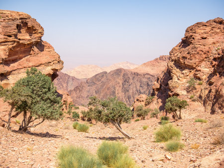 Rocky desert mountains landscape from the ancient city of Petra, Jordan.の写真素材