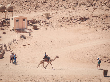 Petra, Jordan - 08.30.2021: Local bedouin guide riding a camel in the desert of Petra, Jordan.のeditorial素材