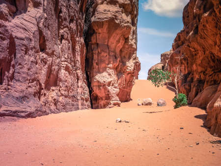 Abu Khashaba canyon in Wadi Rum red rock desert, Jordan.の写真素材