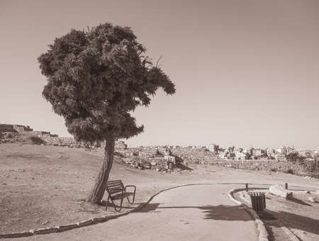 Scene from Amman Citadel, Jordan with a lonely bench underneath a tree. Black and white picture.の写真素材