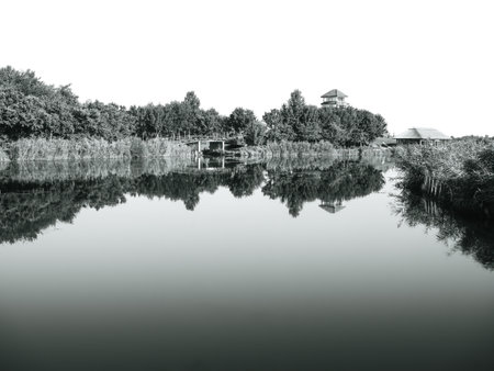 Scenic view with Comana lake part of Comana Natural Park, located near Bucharest, Romania. Black and white photography.の写真素材