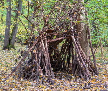 Survival shelter in the woods made from tree branches.の写真素材