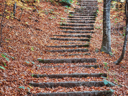 Cobblestone hiking path called Royal Path (Poteca Regala) in Sinaia, Romania. Autumn landscape in...