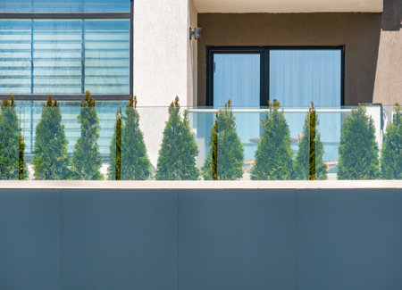 Thuja Occidentalis Smaragd decorative exterior design ornamental plant.の写真素材