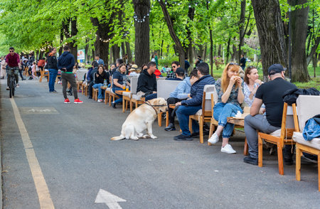 Bucharest, Romania - April 2023: Urban scene with people sitting at tables and having a drinkon the pedestrian area of Kiseleff Boulevard, in Bucharest.のeditorial素材