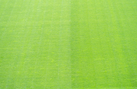 Natural green grass lawn soccer field. Football arena texture background.