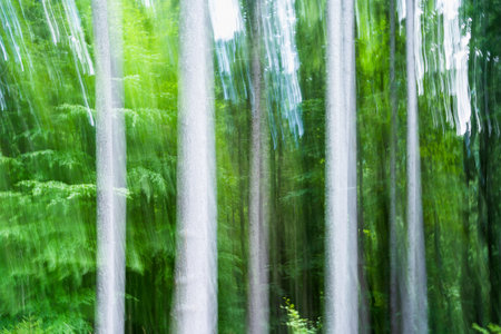 Abstract intentional camera movement photo with a forest. Moody eerie photographic artの写真素材