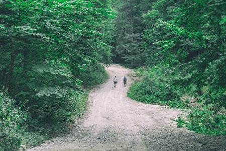 Two hikers walking on the gravel forest road in the mountains of Romania.の写真素材