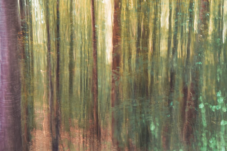 Abstract intentional camera movement photo with a forest. Moody eerie photographic art