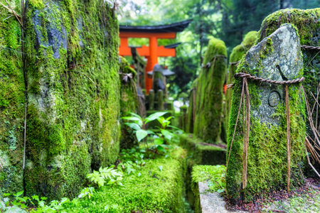 Small shinto place of worship with Torii Gates and inscriptioned stones at Fushimi Inari Taisha temple in Kyoto, Japan. ( Japanese inscriptions translated are different religion blessings)の写真素材