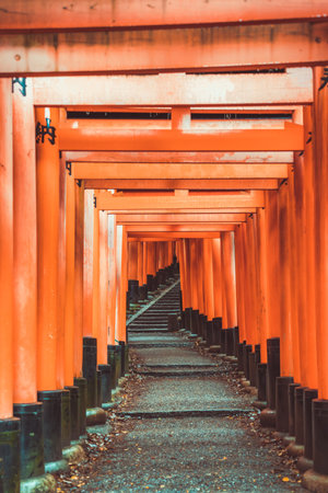 The torii gate covered walking path at Fushimi Inari Taisha temple in Kyoto, Japan. ( Japanese inscriptions translated are different religion blessings)の写真素材