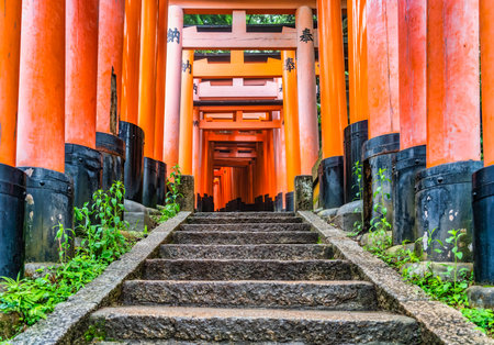 The torii gate covered walking path at Fushimi Inari Taisha temple in Kyoto, Japan. ( Japanese inscriptions translated are different religion blessings)の写真素材