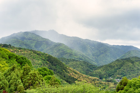 Beautiful scenic natural landscape with the tree covered mountains in Arashiyama district of Kyoto.の写真素材