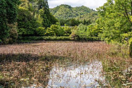 Scenic view with Ogura Pond located in Arashiyama, Japan.の写真素材
