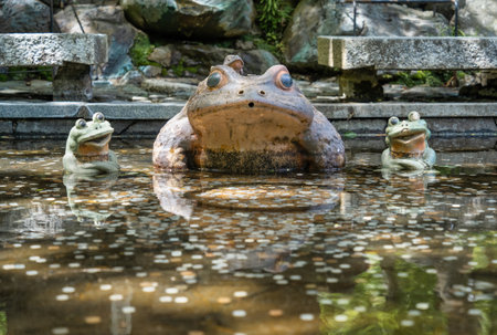Small pond with many coins and a frog statue in a japanese garden. Lucky frog on the grounds of Tenryu-ji temple, Kyoto.の写真素材