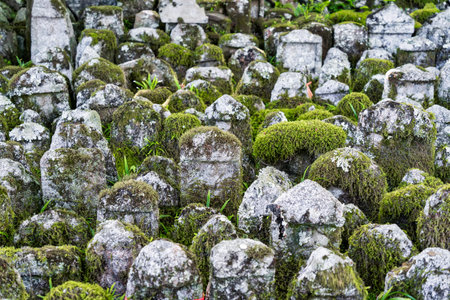 Kyoto, Japan - 05.07.2024: Carved stones memorial statues at Adashino Nenbutsuji Temple, in Arashiyamaの写真素材