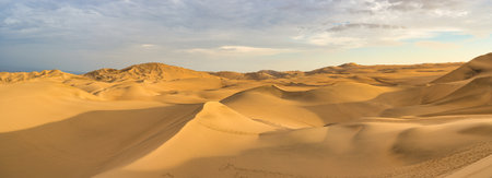 Ica desert landscape at sunset with smooth golden sand dunes near Huacachina, Peru.の写真素材