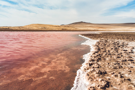 View of the pink salt lagoon set against the desert dunes in Paracas National Reserve, Peru.の写真素材