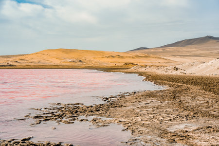 View of the pink salt lagoon set against the desert dunes in Paracas National Reserve, Peru.の写真素材