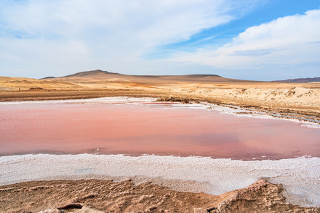 View of the pink salt lagoon set against the desert dunes in Paracas National Reserve, Peru.の写真素材