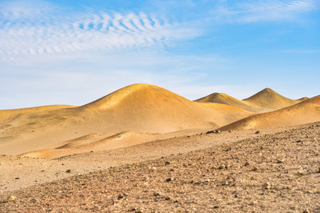 Desert dunes stretch across the arid landscape of Paracas National Reserve in Peru.の写真素材