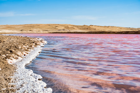 View of the pink salt lagoon set against the desert dunes in Paracas National Reserve, Peru.の写真素材