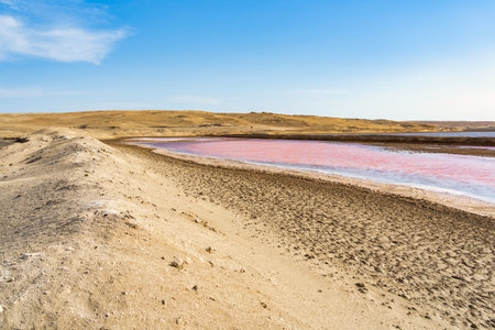 View of the pink salt lagoon set against the desert dunes in Paracas National Reserve, Peru.の写真素材