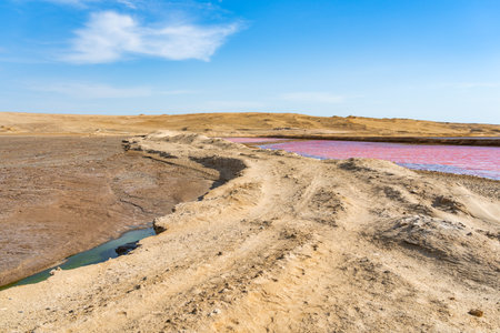 Dirt road along the pink salt lagoon in Paracas National Reserve, Peruの写真素材