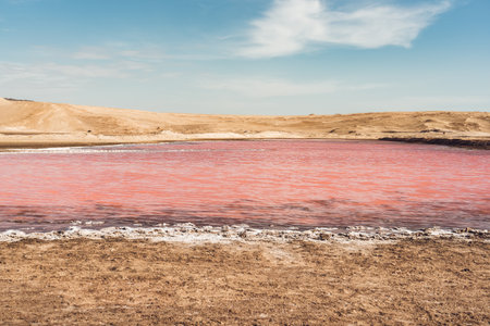 View of the pink salt lagoon set against the desert dunes in Paracas National Reserve, Peru.の写真素材