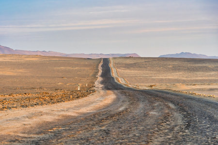 Winding road through the Desert of Paracas National Reserven in Peruの写真素材