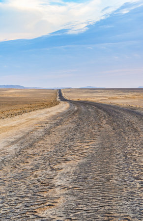 Winding road through the Desert of Paracas National Reserven in Peruの写真素材
