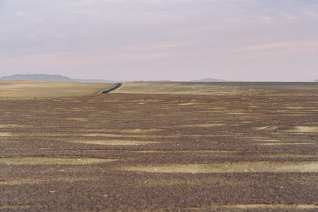 Winding road through the Desert of Paracas National Reserven in Peruの写真素材