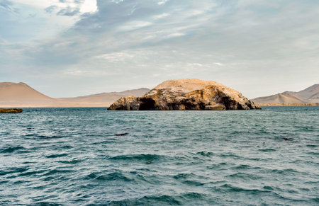 Rock formation in the shape of a turtle in Paracas National Reserve, Peru.の写真素材