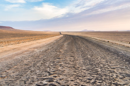Winding road through the Desert of Paracas National Reserven in Peruの写真素材