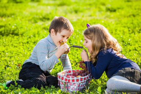 happy kids eating fruits from picnic basket sitting on the green grassの写真素材