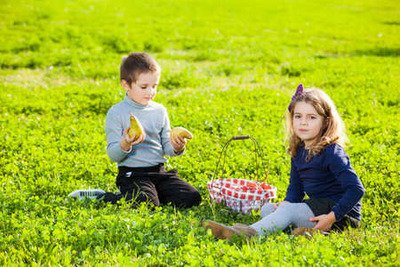 happy kids eating fruits from picnic basket sitting on the green grassの写真素材
