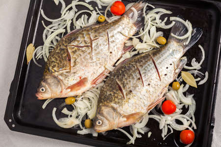 Two carp fishes prepared to be cooked in the oven with tomatoes, olives onion pepper and bay leafの写真素材