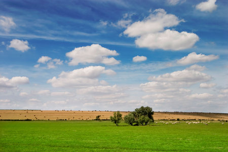 French landscape in Summer season