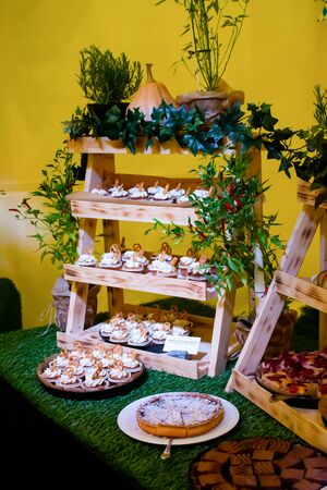 Fresh food brunch buffet Oktoberfest or Autumn Fest, festival outside outdoor in the garden by the pool. Fresh Food Buffet Brunch Catering Dining Eating Party Sharing Conceptの写真素材