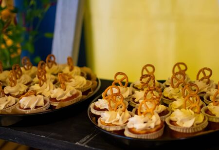 Fresh food brunch buffet Oktoberfest or Autumn Fest, festival outside outdoor in the garden by the pool. Fresh Food Buffet Brunch Catering Dining Eating Party Sharing Conceptの写真素材
