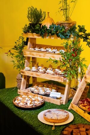 Fresh food brunch buffet Oktoberfest or Autumn Fest, festival outside outdoor in the garden by the pool. Fresh Food Buffet Brunch Catering Dining Eating Party Sharing Conceptの写真素材