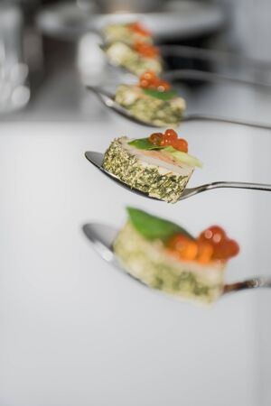 Tasty canapes plates in line hanging with caviar and cream cheese appetizers,isolated on white background view, finger food snacks during hotel brunch buffet,food event catering festive display visualの写真素材