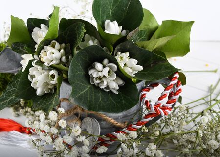 Spring time flowers like snowdrops, isolated on colorful simple flay lay background, spring symbol and traditional romanian, festive on 1st of marchの写真素材