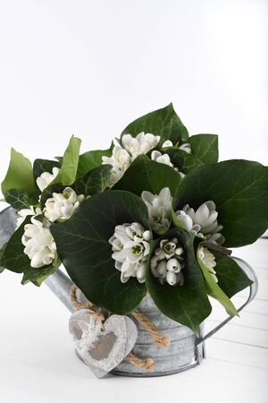 Spring time flowers like snowdrops, isolated on colorful simple flay lay background, spring symbol and traditional romanian, festive on 1st of marchの写真素材