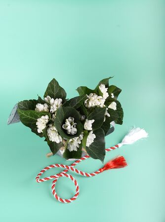 Spring time flowers like snowdrops, isolated on colorful simple flay lay background, spring symbol and traditional romanian, festive on 1st of marchの写真素材