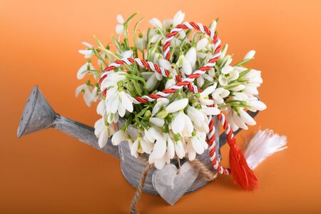 Spring time flowers like snowdrops, isolated on colorful simple flay lay background, spring symbol and traditional romanian, festive on 1st of marchの写真素材
