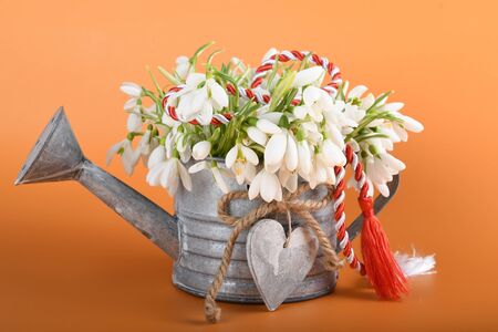 Spring time flowers like snowdrops, isolated on colorful simple flay lay background, spring symbol and traditional romanian, festive on 1st of marchの写真素材
